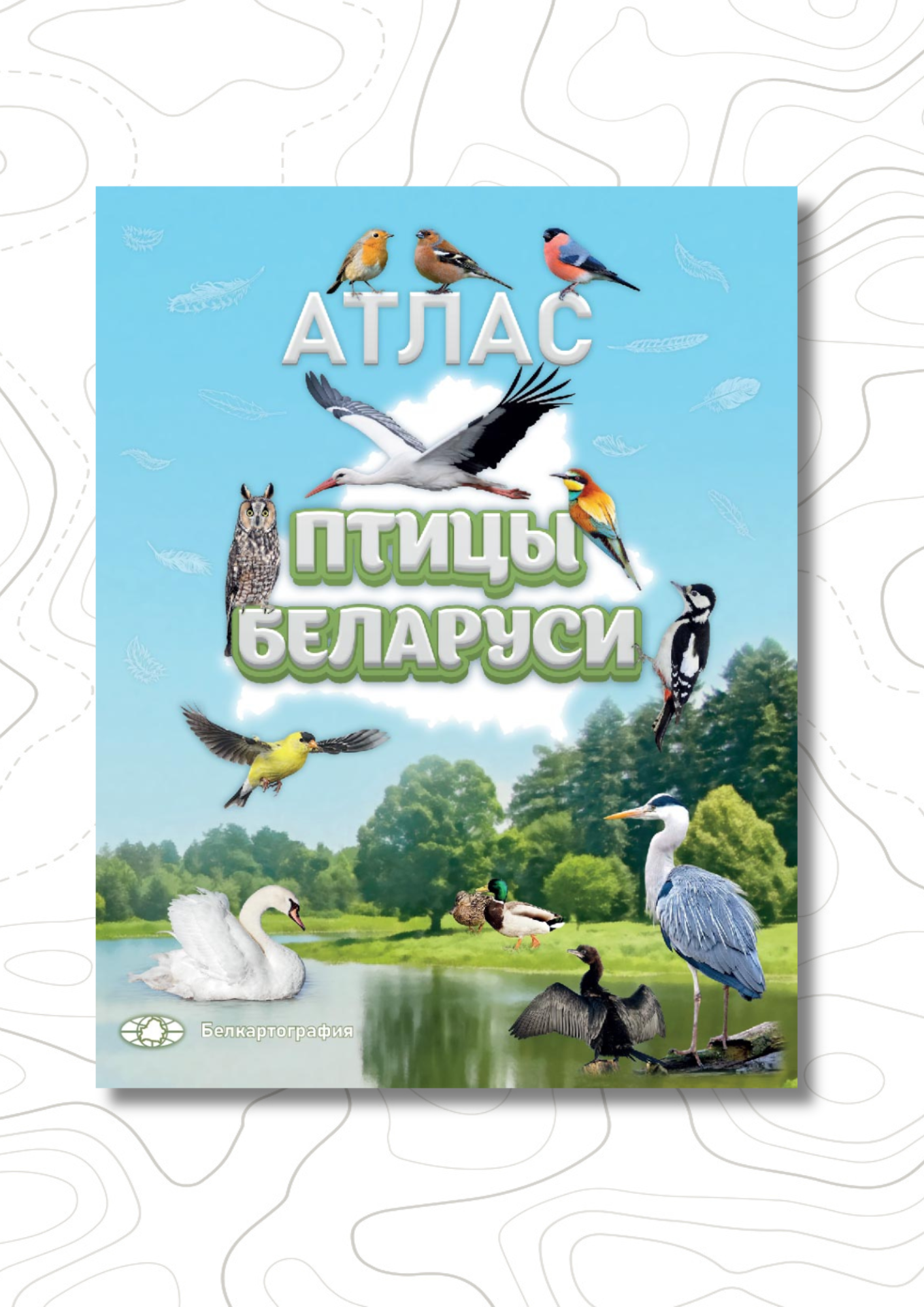 Новинка: атлас «Птицы Беларуси»